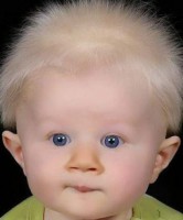 /album/mokas/w5-jpg/