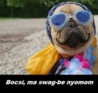 /album/mokas/w7-png/